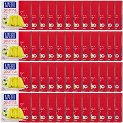 GELATINA MAGRO C/ SUCRALOSE ABACAXI C/ HORTELA 10G