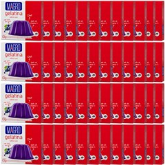 GELATINA MAGRO C/ SUCRALOSE UVA 10G
