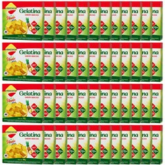 GELATINA LOWCUCAR PLUS COM STEVIA ABACAXI 10G