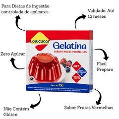 GELATINA LOWCUCAR SABOR FRUTAS VERMELHAS 10G