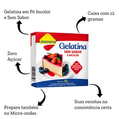 GELATINA EM PO NEUTRA E INCOLOR 12G