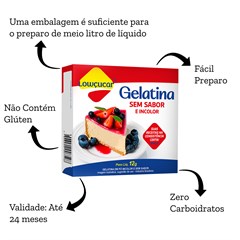 GELATINA EM PO NEUTRA E INCOLOR 12G
