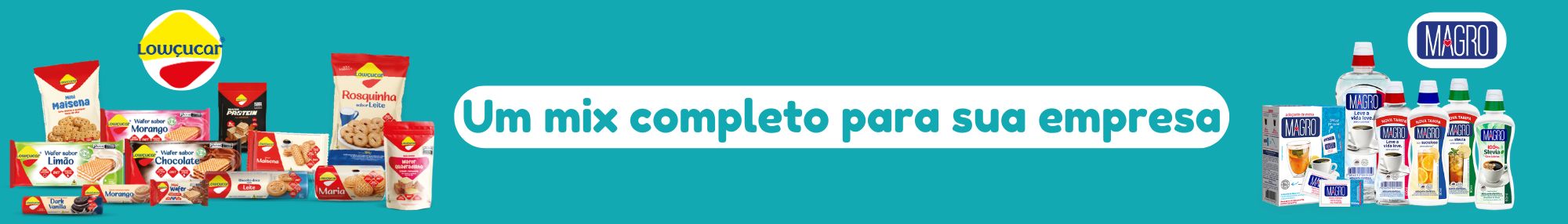 Banner Segmentos